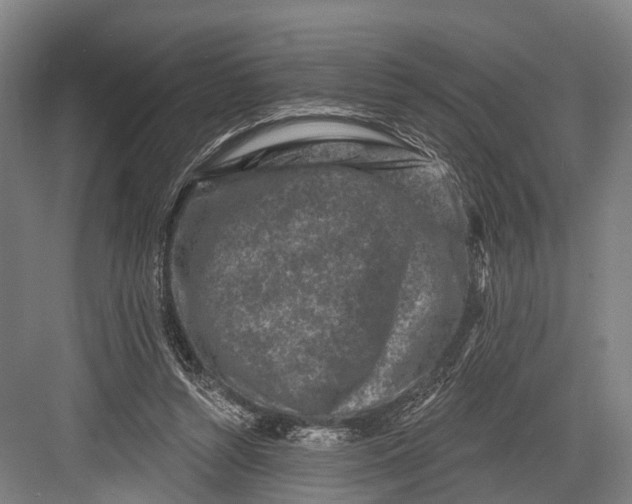 X0000082710352200702161821