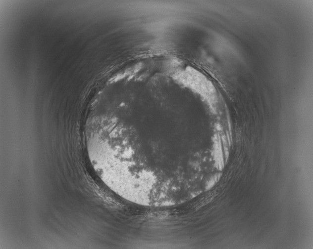 X0000082710353200702161821