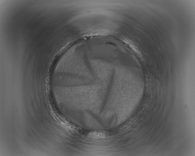 X0000082710354200702161821