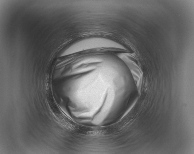 X0000082710356200702161821