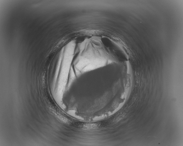 X0000082710357200702161821