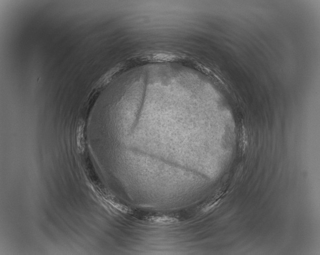 X0000082710360200702161821