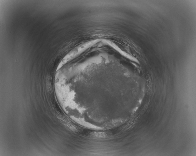 X0000082710361200702161821