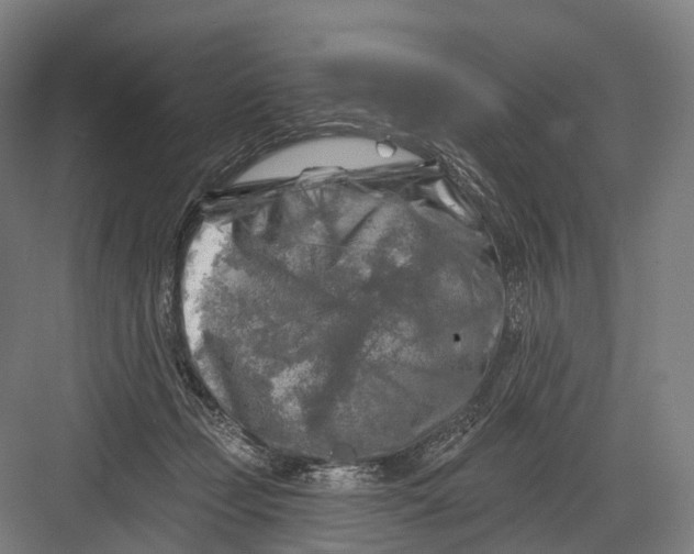 X0000082710365200702161821