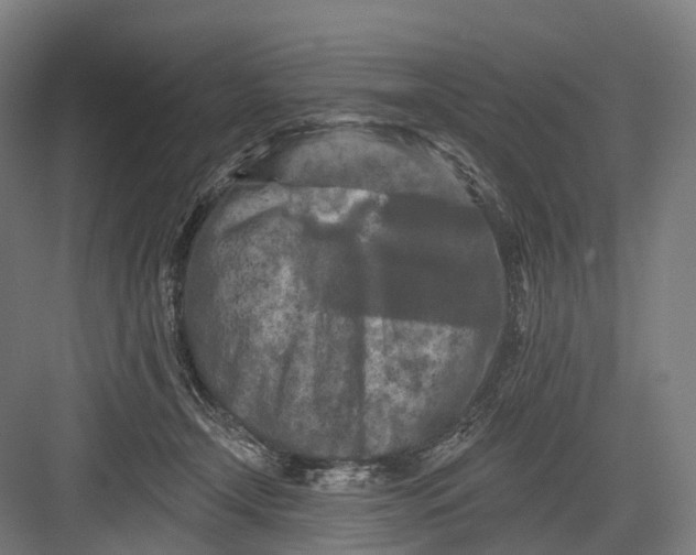 X0000082710366200702161822