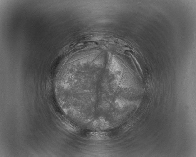 X0000082710367200702161822