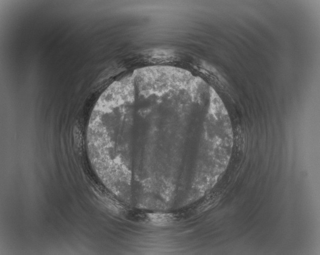 X0000082710371200702161822