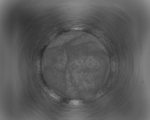 X0000082710375200702161822