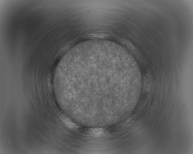 X0000082710377200702161822