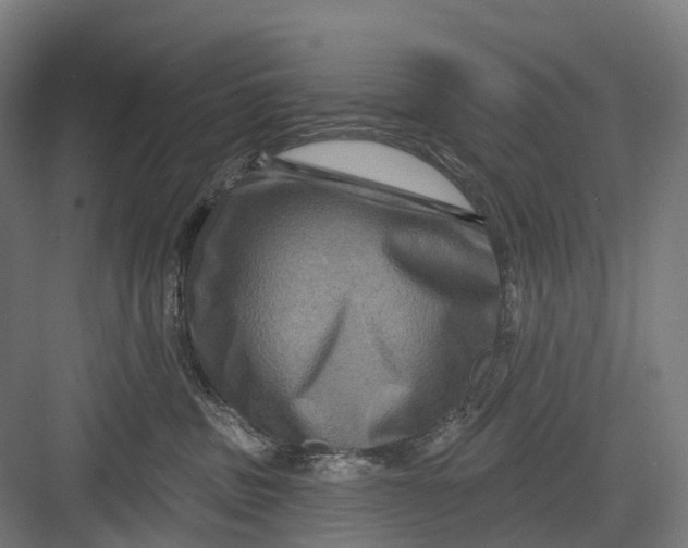 X0000082710379200702161822