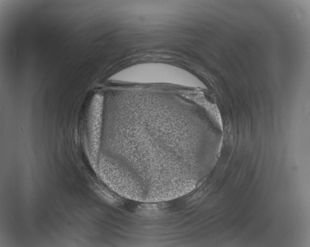 X0000082710381200702161822