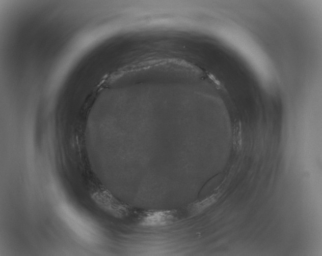 X0000082710382200702161822