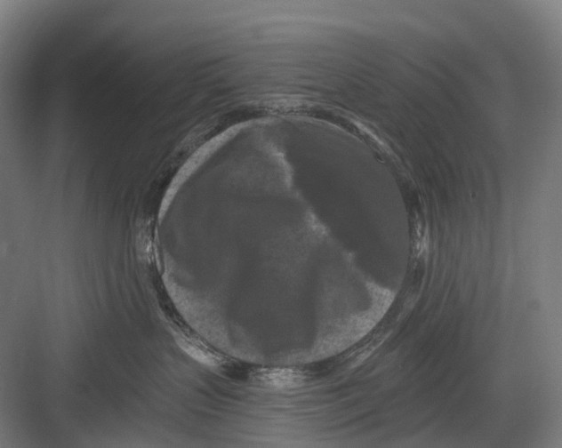 X0000082710383200702161822