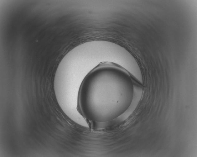 X0000082710384200702161822