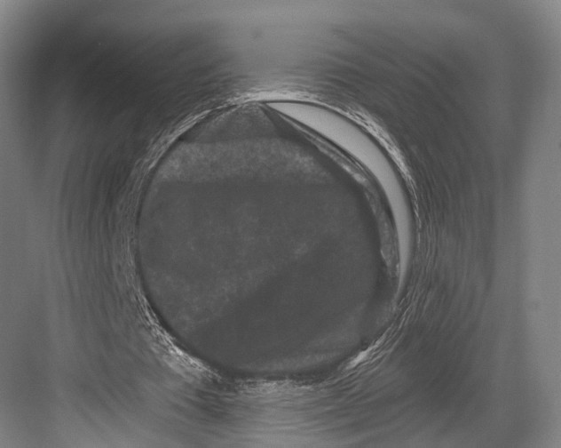 X0000082710385200702161821