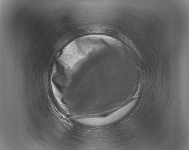 X0000082710386200702161821