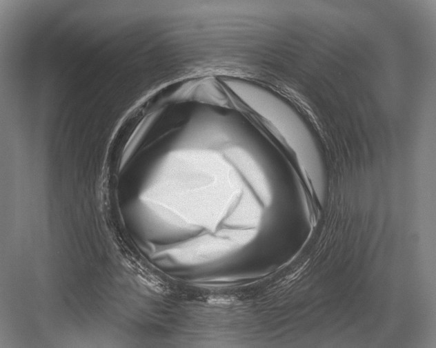 X0000082710388200702161821