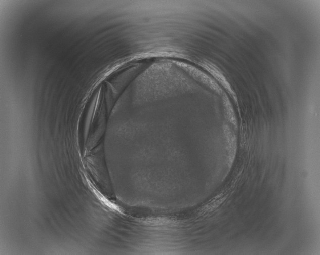 X0000082710389200702161821