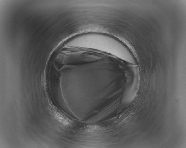 X0000082710391200702161821