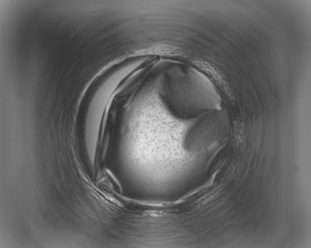 X0000082710392200702161821