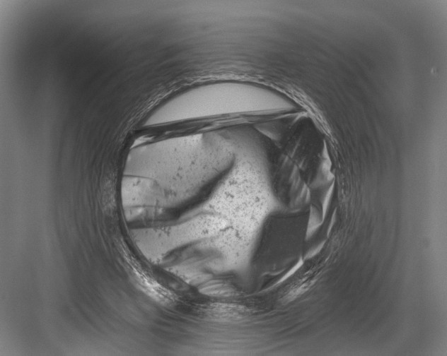 X0000082710393200702161821