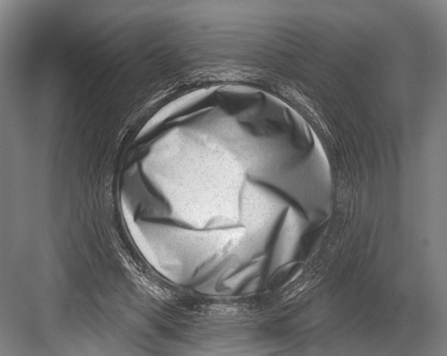 X0000082710394200702161821