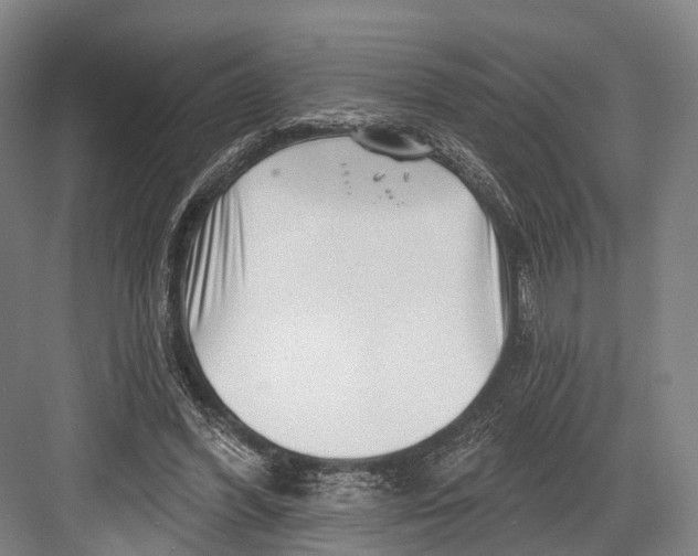 X0000082710396200702161821