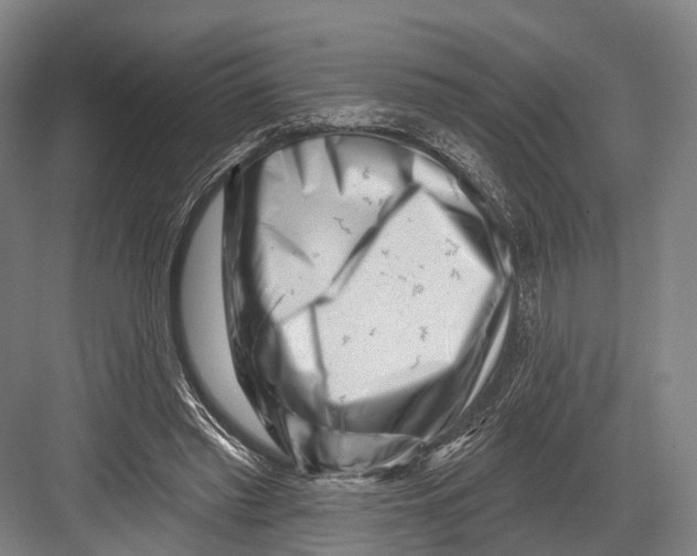 X0000082710397200702161821