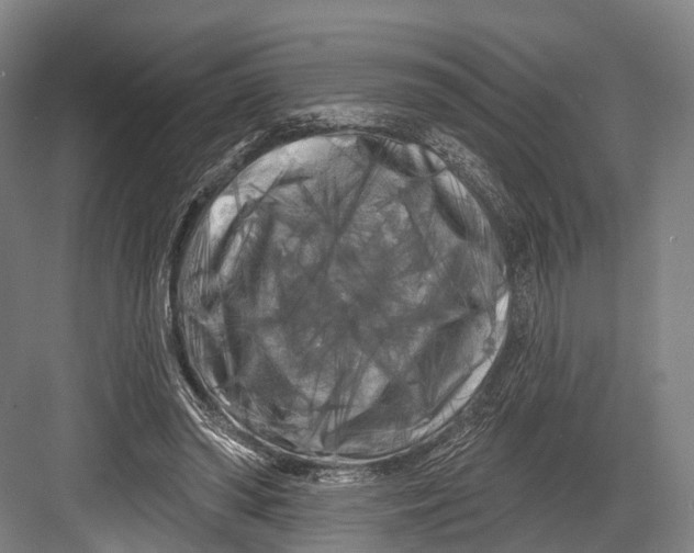 X0000082710398200702161821