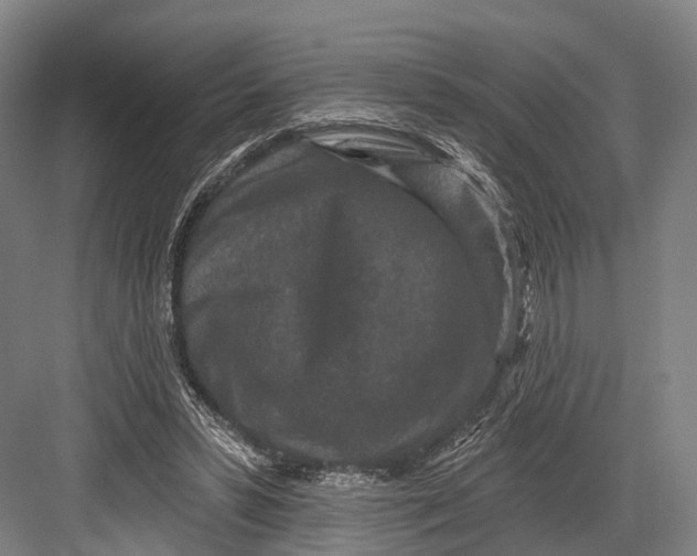 X0000082710399200702161821