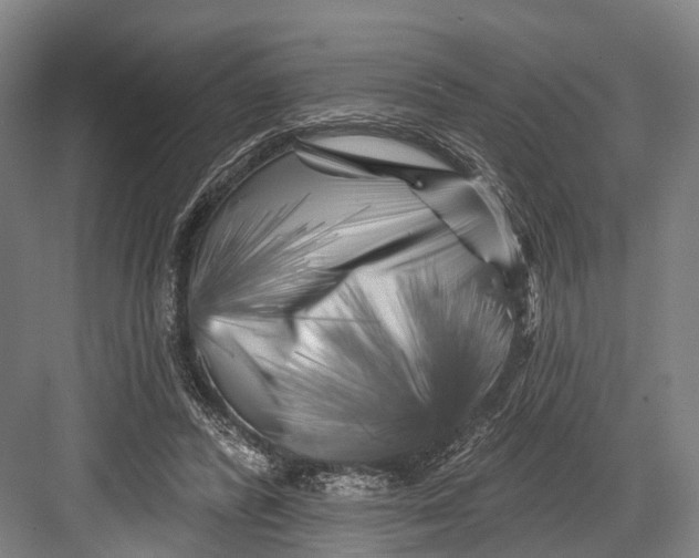 X0000082710400200702161821