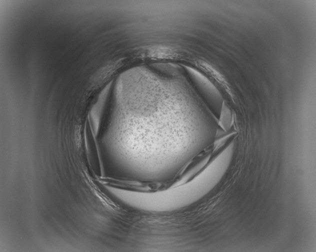 X0000082710401200702161821