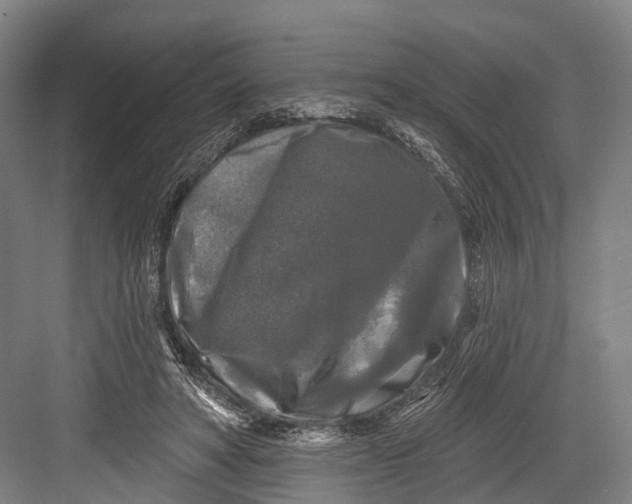 X0000082710402200702161821