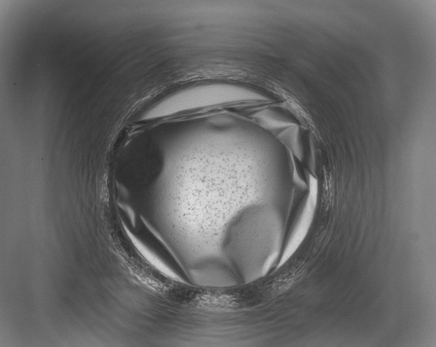 X0000082710403200702161821