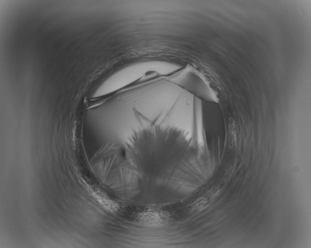 X0000082710404200702161821