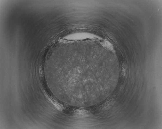 X0000082710408200702161821