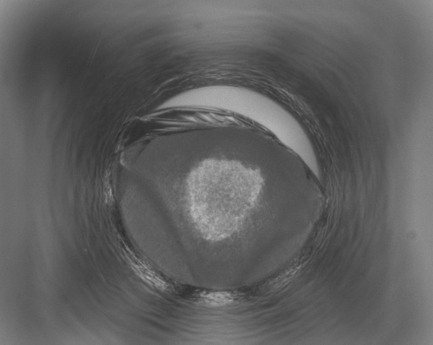 X0000082710409200702161821