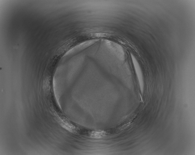 X0000082710410200702161821