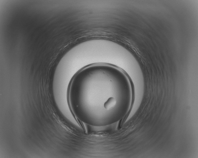 X0000082710411200702161821