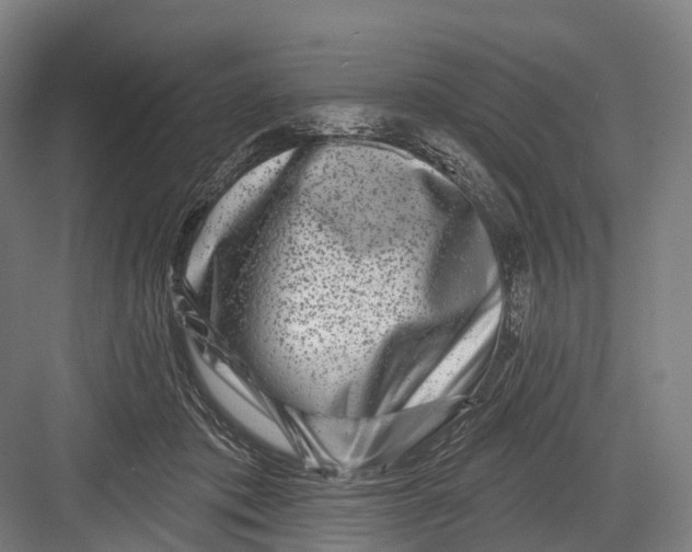 X0000082710413200702161821