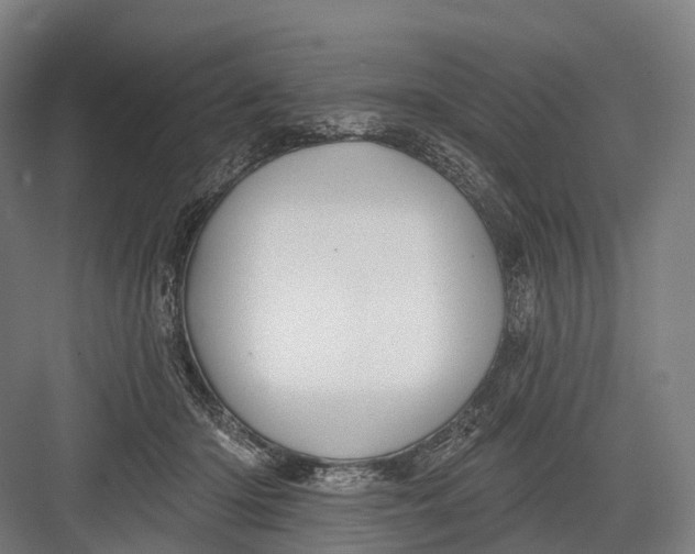 X0000082710414200702161821