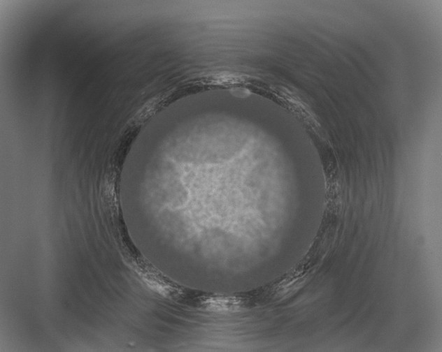 X0000082710415200702161820