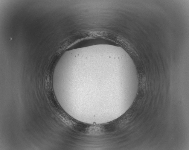 X0000082710418200702161820