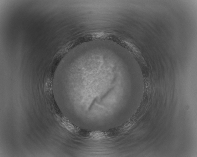 X0000082710419200702161820