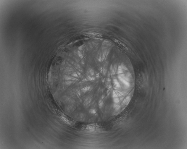 X0000082710420200702161820