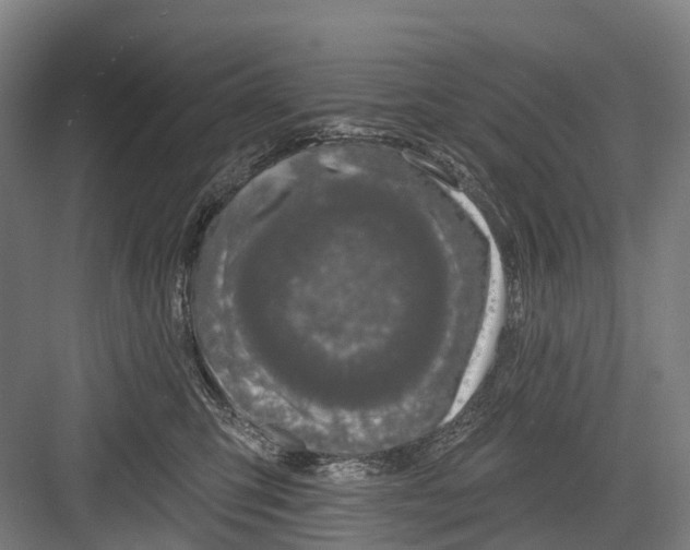 X0000082710423200702161820