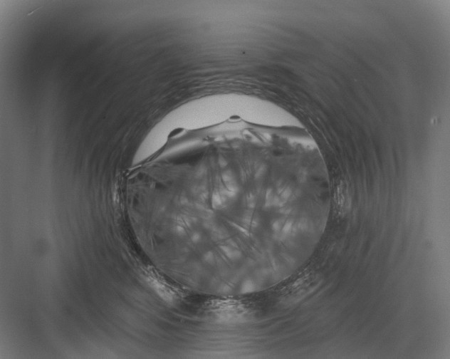 X0000082710424200702161820