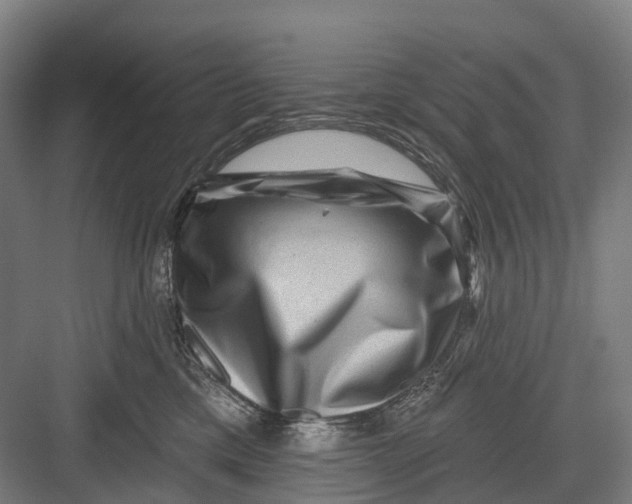 X0000082710425200702161820