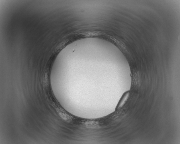 X0000082710426200702161820