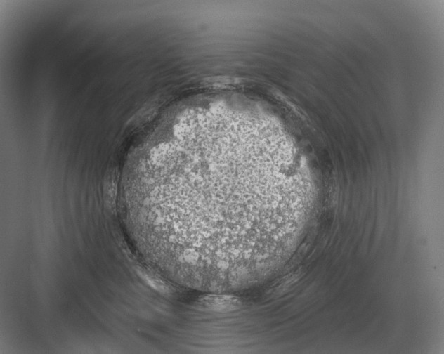 X0000082710427200702161820